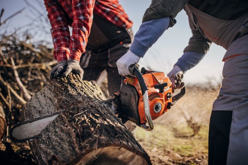 Best practices for chainsaw safety | ISHN