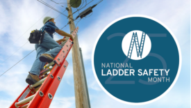 National Ladder Safety Month March 25.png