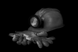 coal miner