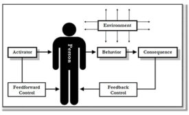 feedforward 