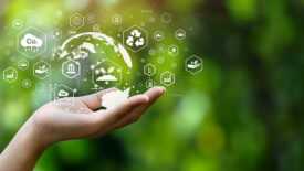 Sustainability and environmental impact