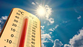 rising summer temperatures