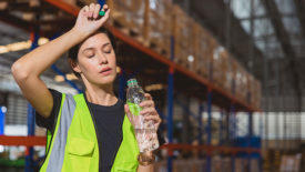 female worker drinking water